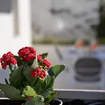 Fedelena Apartamento *