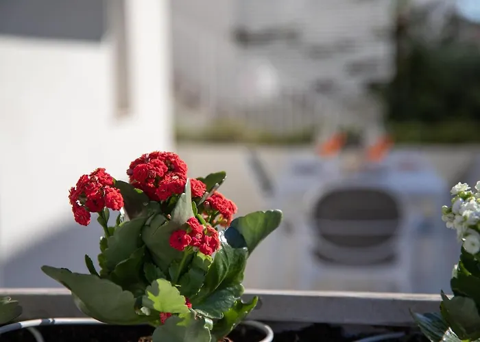 Fedelena Διαμέρισμα *